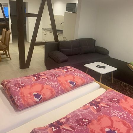 Boardinghouse Schnaitheim - Apartment هايدنهايم ان دير بر المظهر الخارجي الصورة